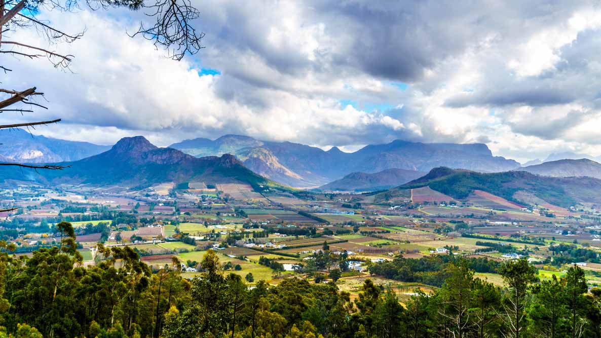 Cape Town & Winelands EscapadeImage